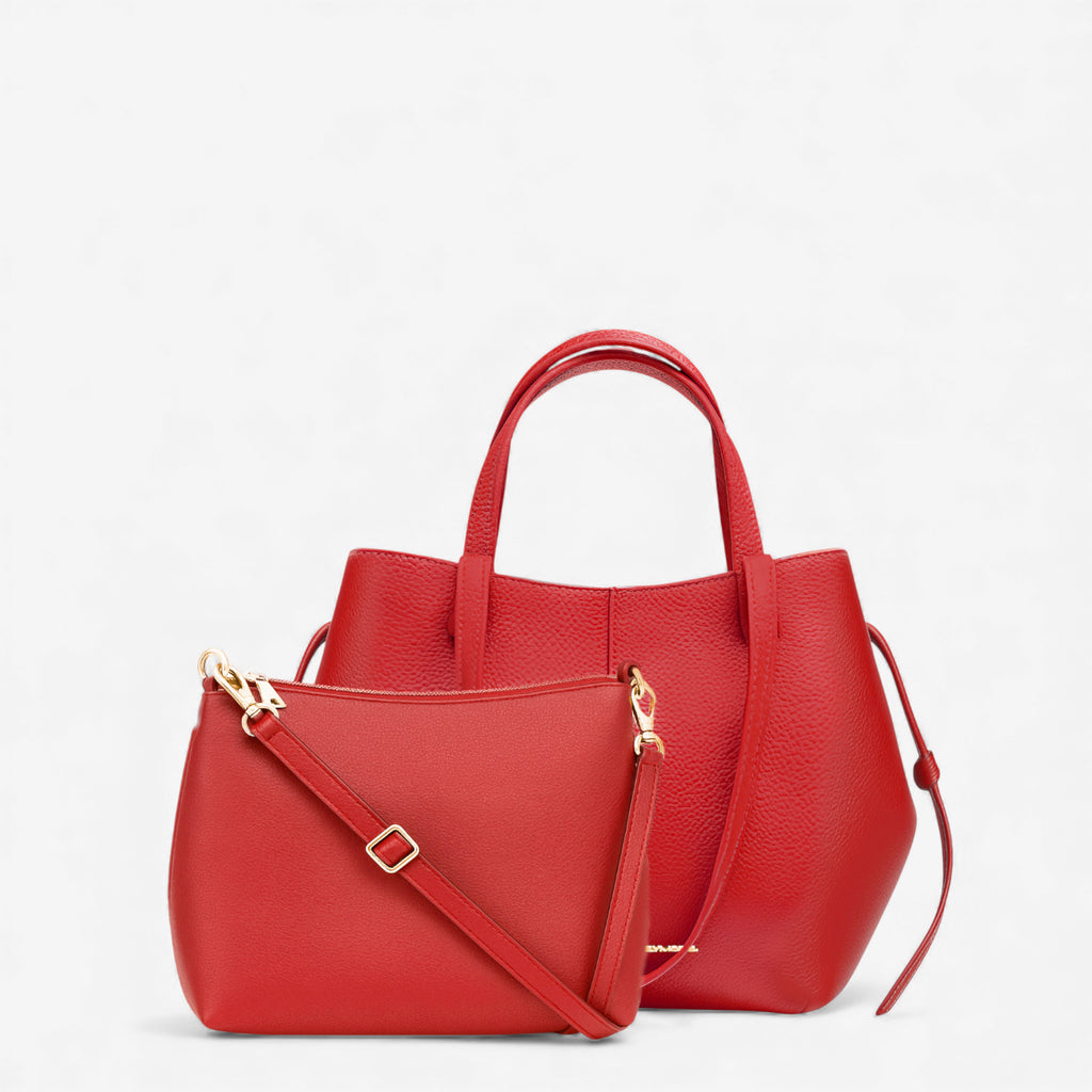 Asia - Christmas Exclusive Edition